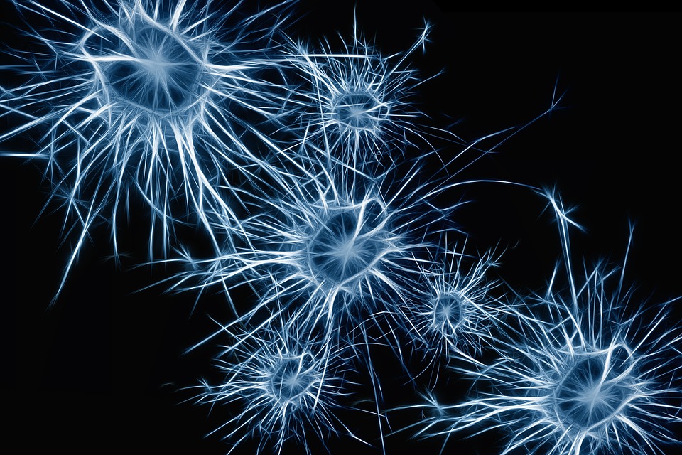 Multiple Sklerose – das Chamäleon unter den Nervenerkrankungen. Das Bild zeigt Neuronen auf schwarzem Hintergrund. Credit: Pixabay