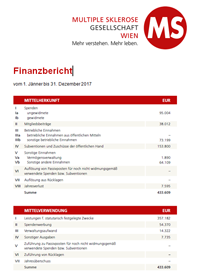 Multiple Sklerose Gesellschaft Wien: Finanzbericht 2017