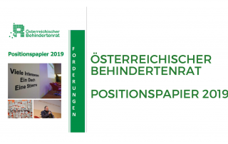 Österreichischer Behindertenrat: Positionspapier 2019