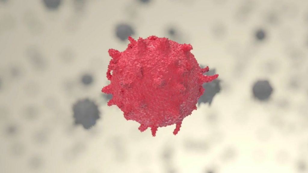 Th17-Immunzellen spielen bei der Entstehung und Erhaltung von Autoimmunerkrankungen eine wesentliche Rolle. Credit: Luís Almeida und Ayesha Dhillon-LaBrooy (Universitätsmedizin Mainz)