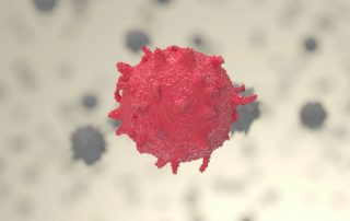 Th17-Immunzellen spielen bei der Entstehung und Erhaltung von Autoimmunerkrankungen eine wesentliche Rolle. Credit: Luís Almeida und Ayesha Dhillon-LaBrooy (Universitätsmedizin Mainz)