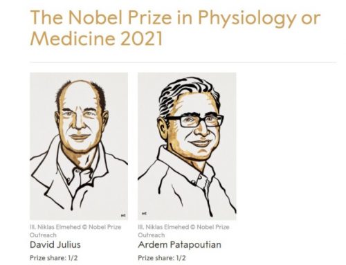Medizin-Nobelpreis für Entdeckung von Rezeptoren für Temperatur und Berührung