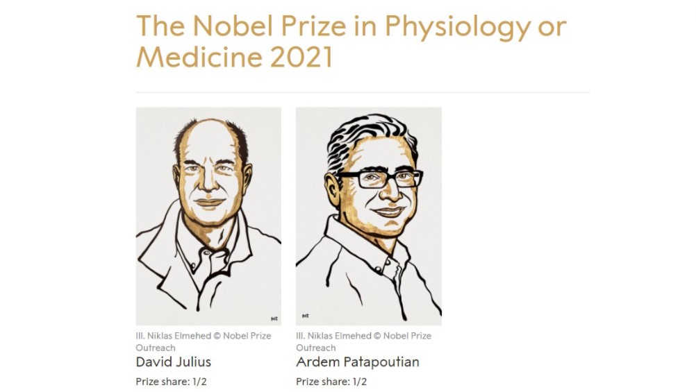 The Nobel Prize in Physiology or Medicine 2021: David Julius and Ardem Patapoutian. © Nobel Prize Outreach